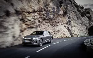   Audi Q8 55 e-tron quattro - 2022