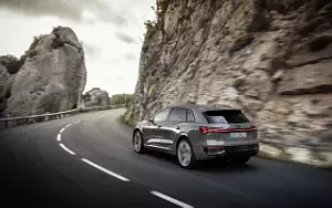   Audi Q8 55 e-tron quattro - 2022