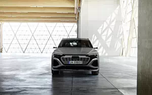   Audi Q8 55 e-tron quattro - 2022