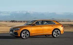   Audi Q8 50 TDI quattro S line - 2018