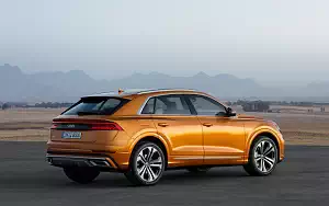   Audi Q8 50 TDI quattro S line - 2018