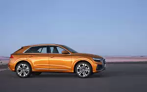   Audi Q8 50 TDI quattro S line - 2018
