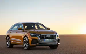   Audi Q8 50 TDI quattro S line - 2018