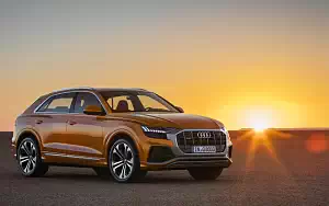   Audi Q8 50 TDI quattro S line - 2018