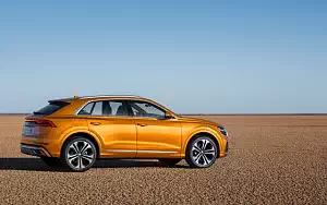  Audi Q8 50 TDI quattro S line - 2018