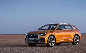   Audi Q8 50 TDI quattro S line - 2018