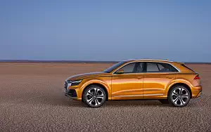   Audi Q8 50 TDI quattro S line - 2018