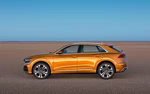  Audi Q8 50 TDI quattro S line - 2018