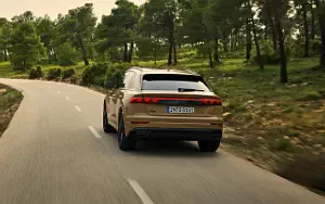   Audi Q8 55 TFSI quattro S line - 2023