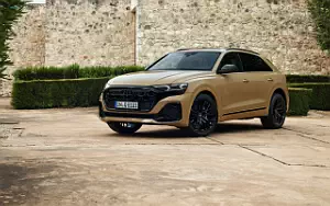   Audi Q8 55 TFSI quattro S line - 2023