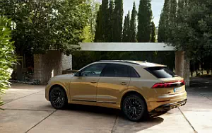   Audi Q8 55 TFSI quattro S line - 2023