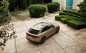   Audi Q8 55 TFSI quattro S line - 2023