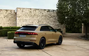   Audi Q8 55 TFSI quattro S line - 2023