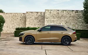  Audi Q8 55 TFSI quattro S line - 2023