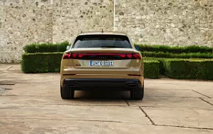   Audi Q8 55 TFSI quattro S line - 2023