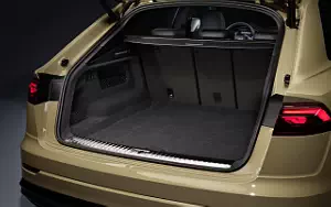   Audi Q8 55 TFSI quattro S line - 2023