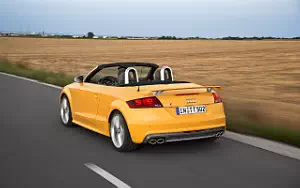   Audi TTS Roadster Competition - 2013