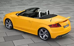   Audi TTS Roadster Competition - 2013