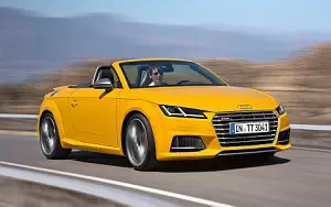   Audi TTS Roadster - 2014