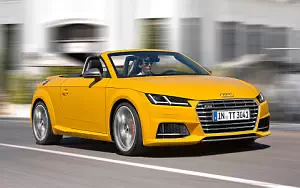   Audi TTS Roadster - 2014