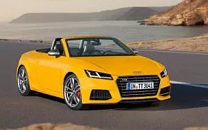   Audi TTS Roadster - 2014