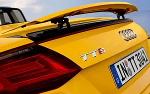   Audi TTS Roadster - 2014