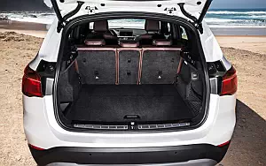   BMW X1 xDrive20d xLine - 2009
