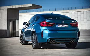   BMW X6 M - 2015